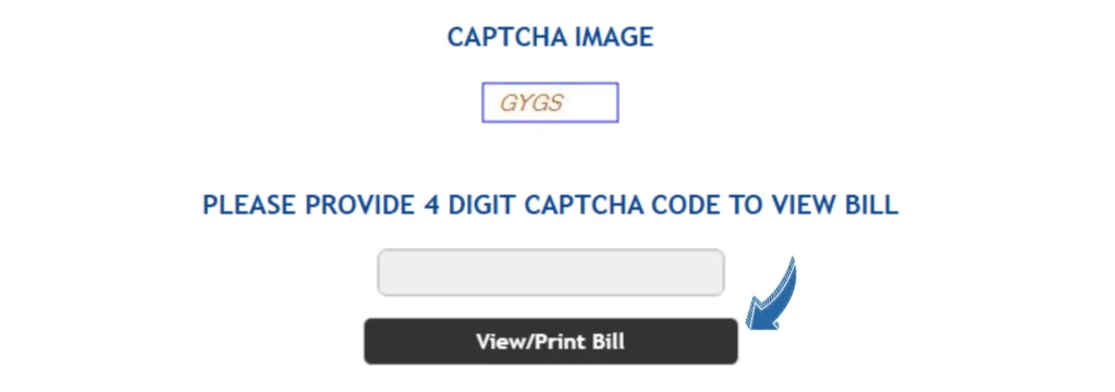 View print bill button image e1737466148970