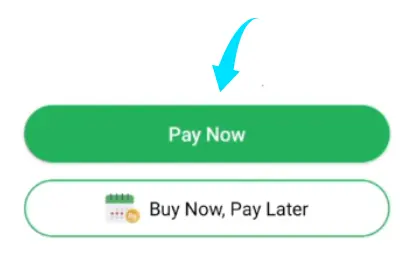 Pay Now button