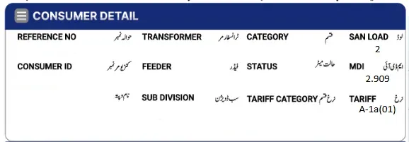 LESCO Bill Online 2 Consumer Details